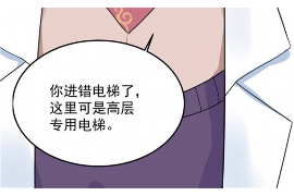 内江融资清欠服务